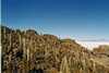 Salar de Uyuni 3