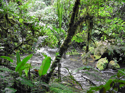 Eserd, Costa Rica, a szerz felvtele